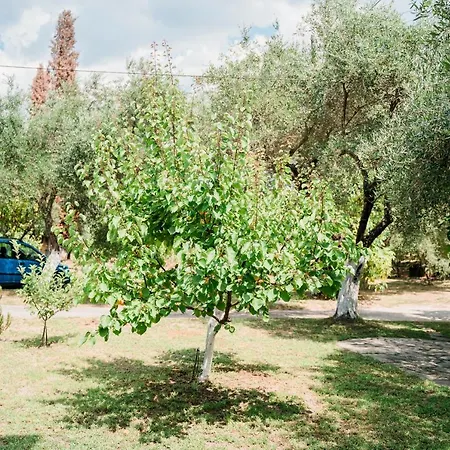 Villa Kallithea Párga Zewnętrze zdjęcie