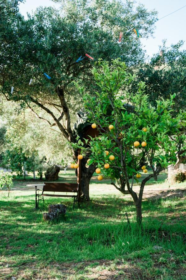 Kallithea * Parga